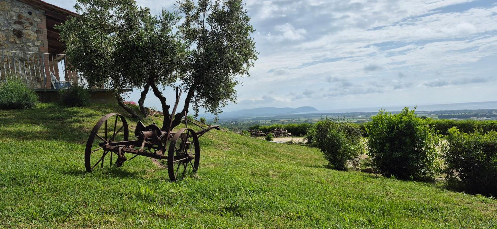 Agriturismo Suite Del Conte San Vincenzo Eksteriør billede